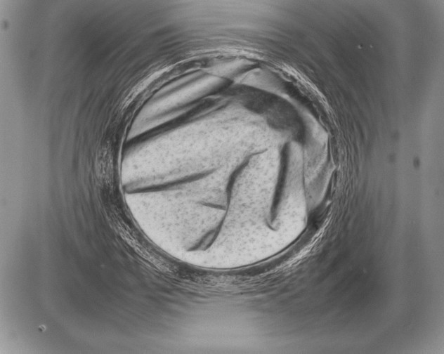 X0000085730969200704131615