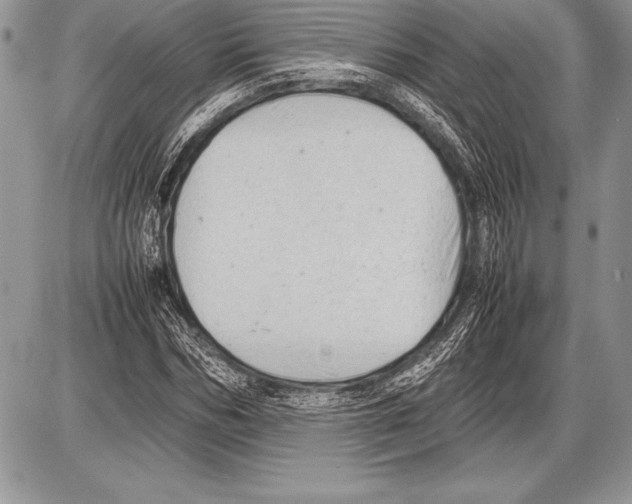 X0000085730970200704131615