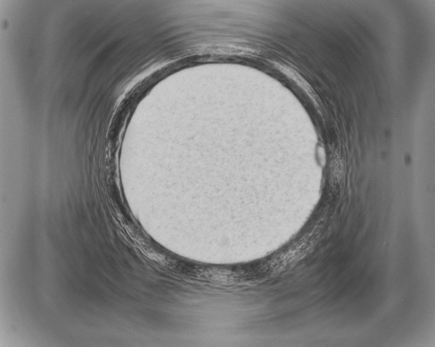 X0000085730971200704131615