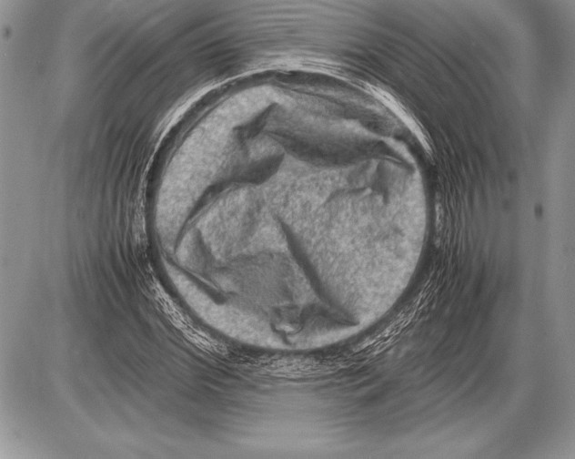 X0000085730972200704131615