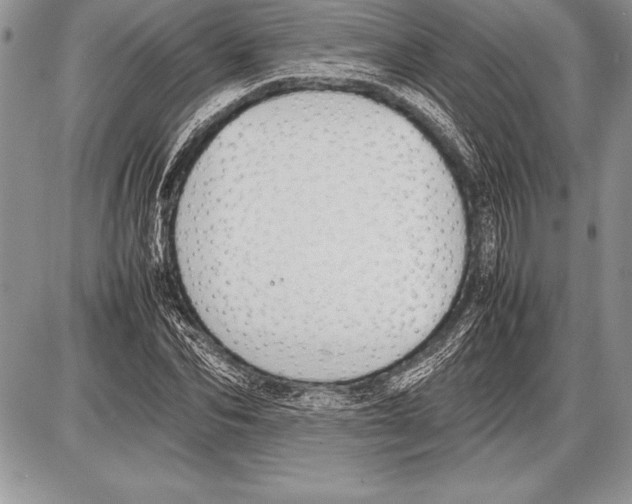 X0000085730974200704131615