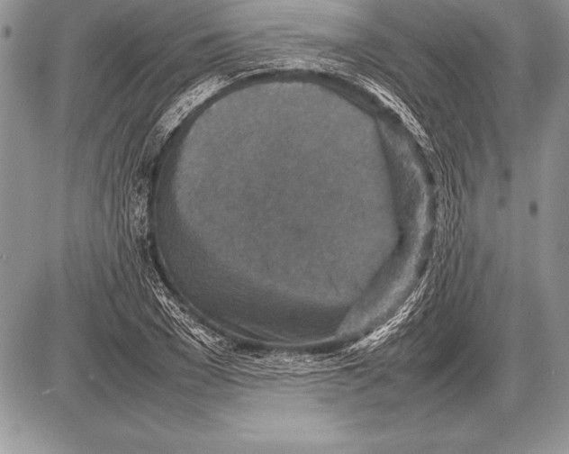 X0000085730977200704131615