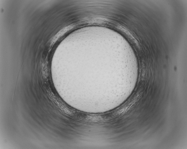 X0000085730978200704131615