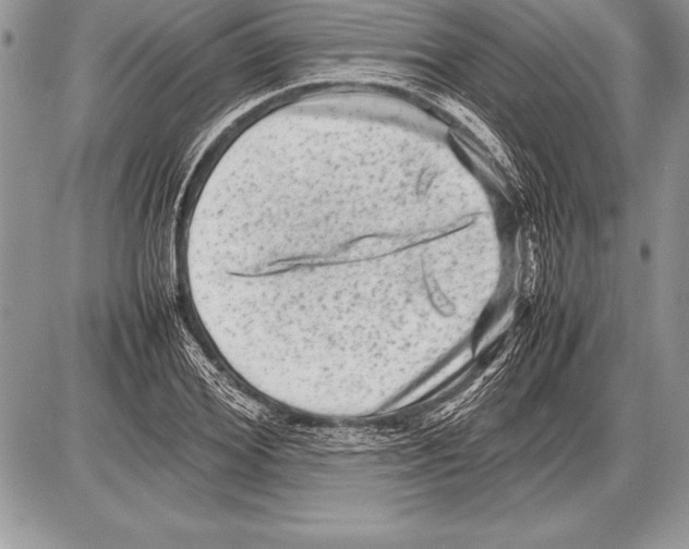 X0000085730980200704131615