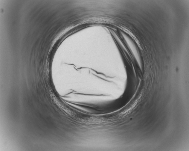 X0000085730981200704131615