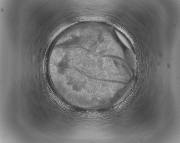 X0000085730983200704131615