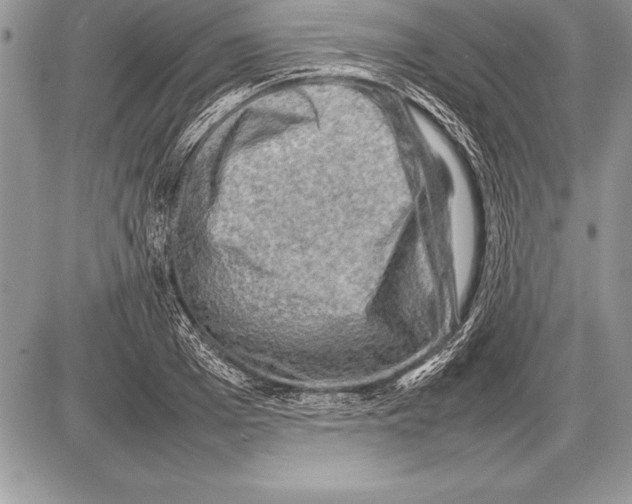 X0000085730985200704131615