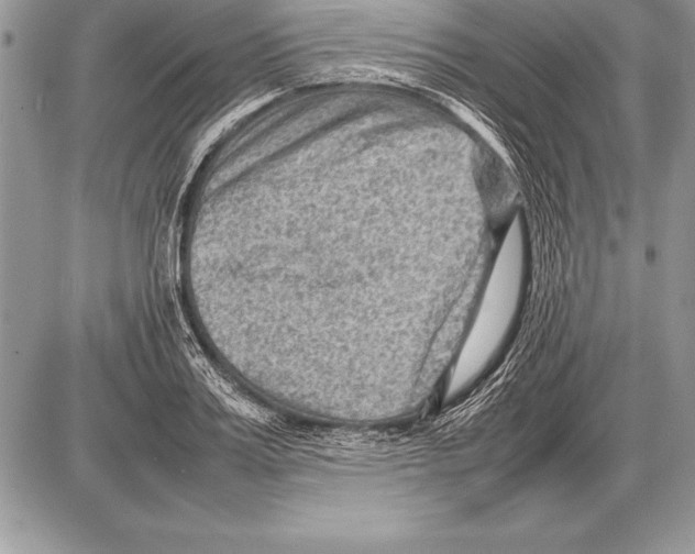 X0000085730987200704131615