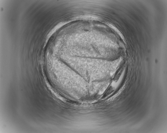 X0000085730989200704131614