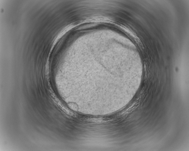 X0000085730990200704131614