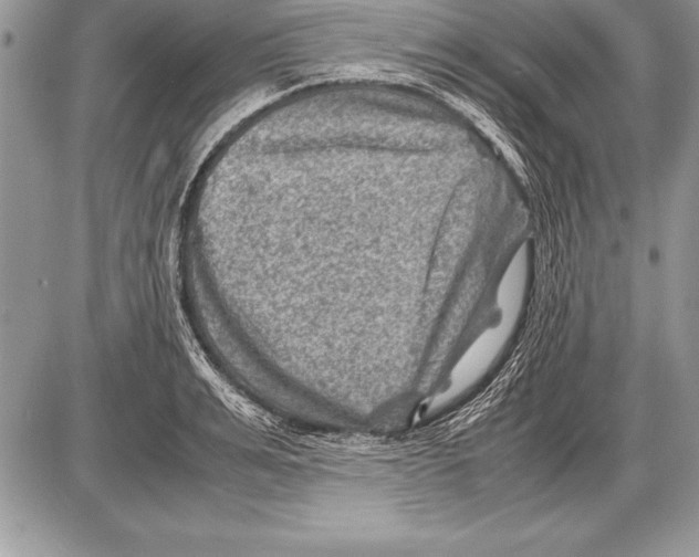 X0000085730991200704131614