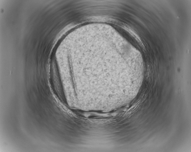 X0000085730992200704131614