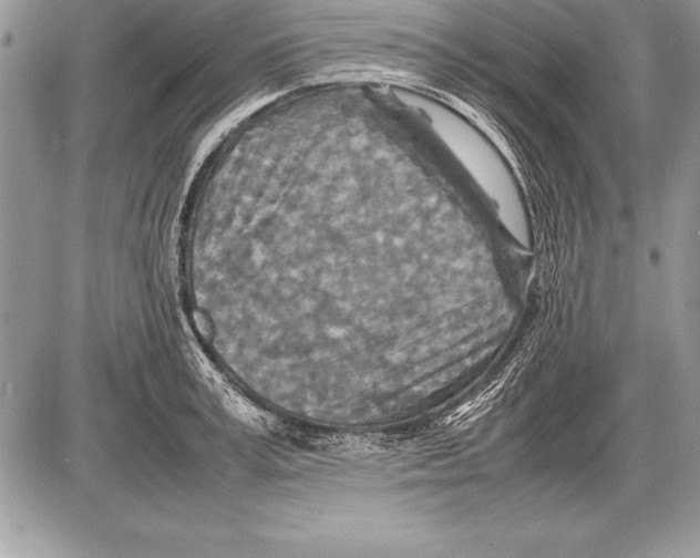 X0000085730995200704131614