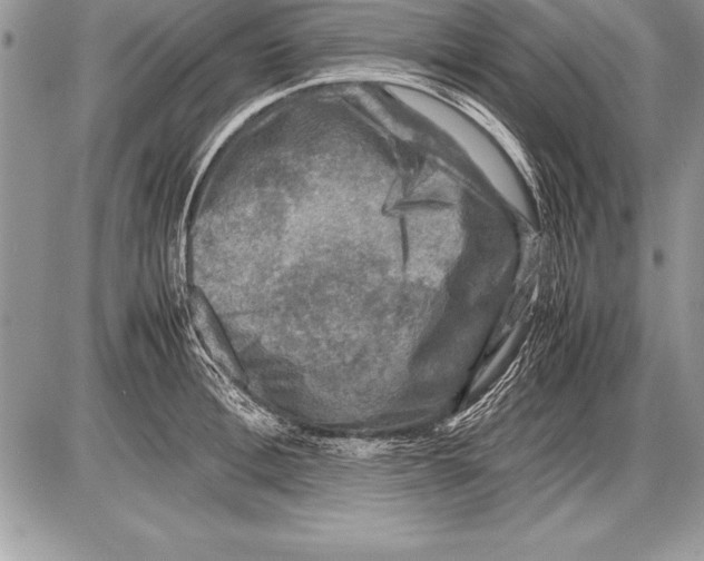 X0000085730996200704131614