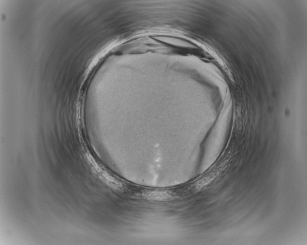 X0000085730998200704131614