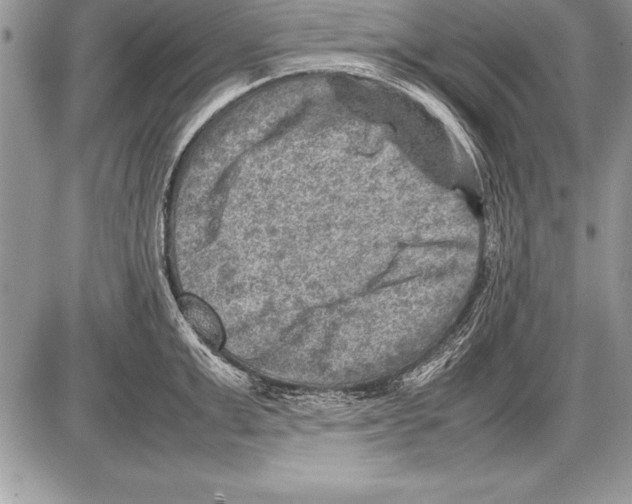 X0000085730999200704131614