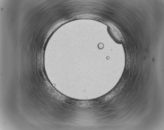 X0000085731000200704131614