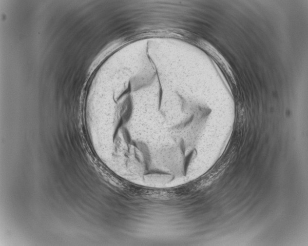 X0000085731002200704131614