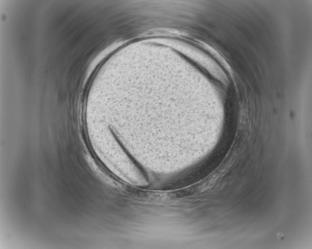 X0000085731003200704131614