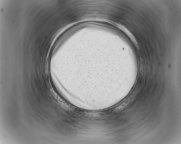 X0000085731004200704131614