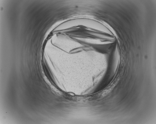 X0000085731005200704131614