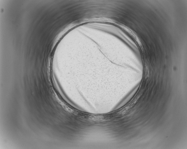 X0000085731006200704131614