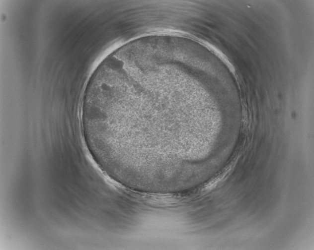 X0000085731007200704131614