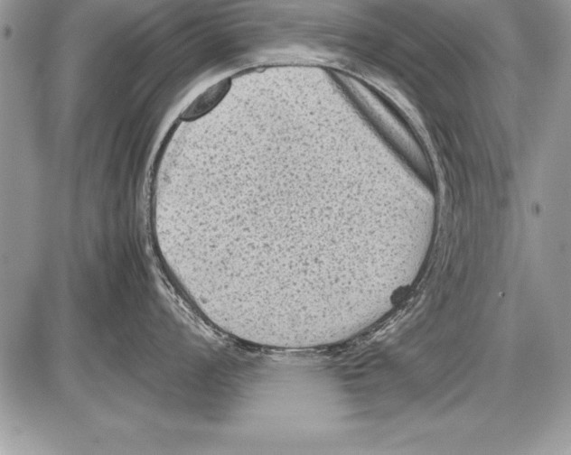 X0000085731008200704131614