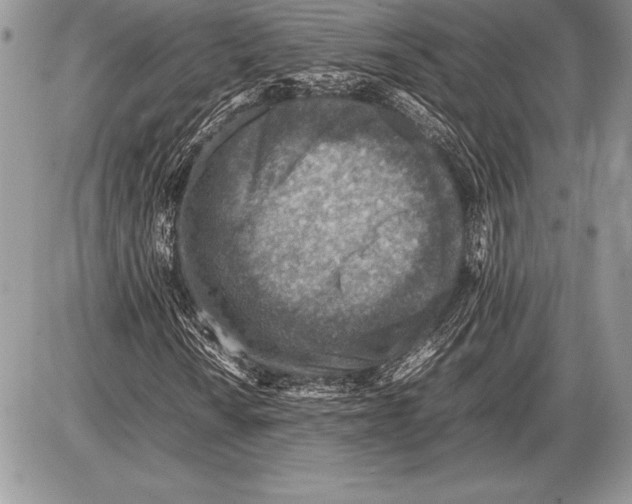 X0000085731010200704131613