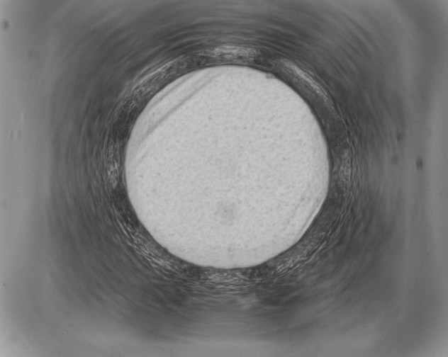 X0000085731015200704131613