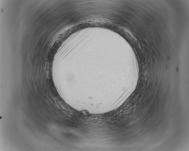 X0000085731016200704131614