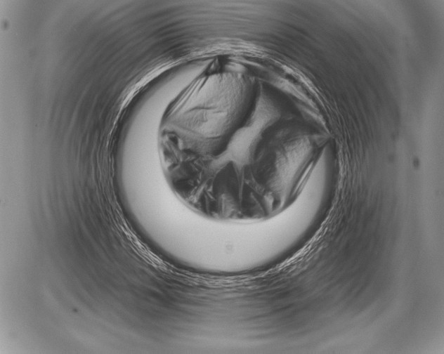 X0000085731018200704131614