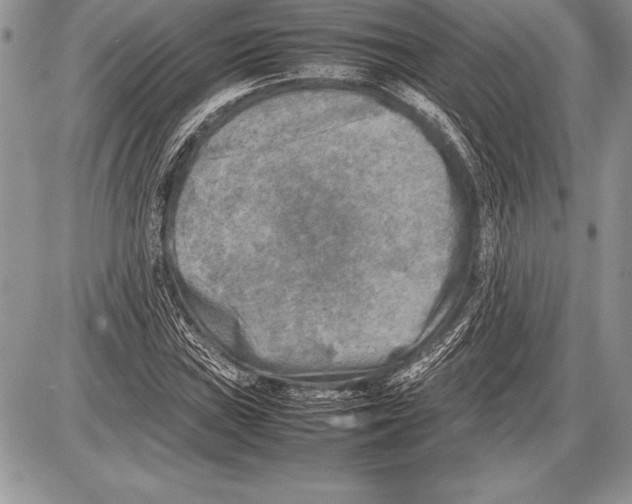 X0000085731019200704131614