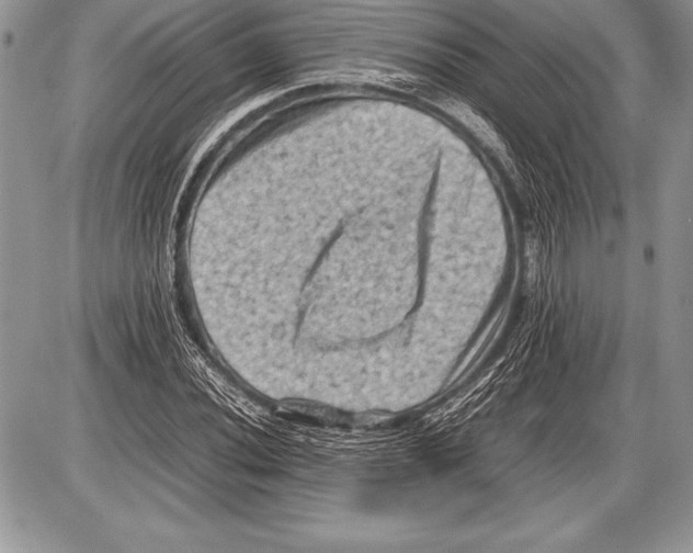 X0000085731020200704131614