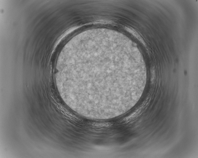 X0000085731021200704131614