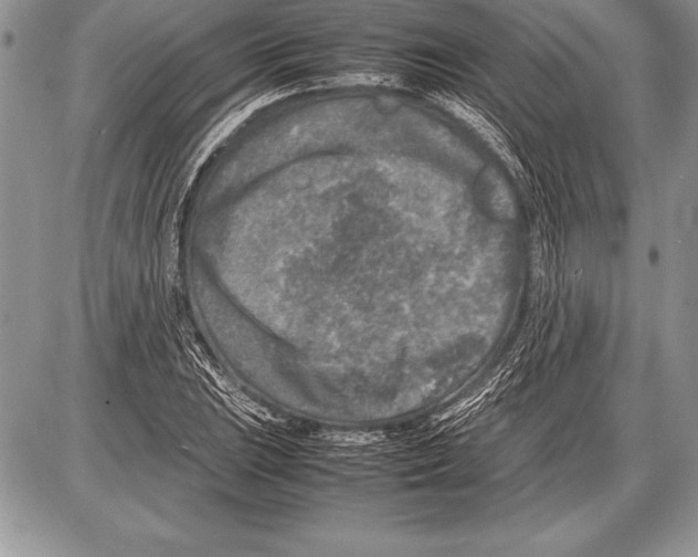 X0000085731023200704131614