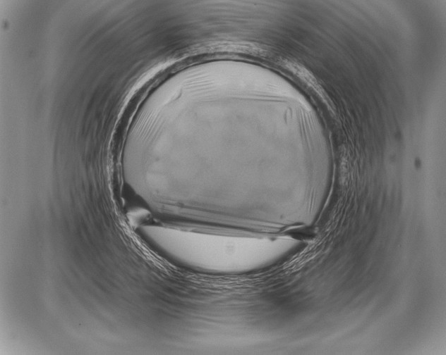 X0000085731024200704131614