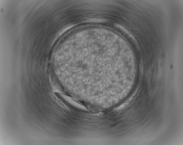 X0000085731025200704131614