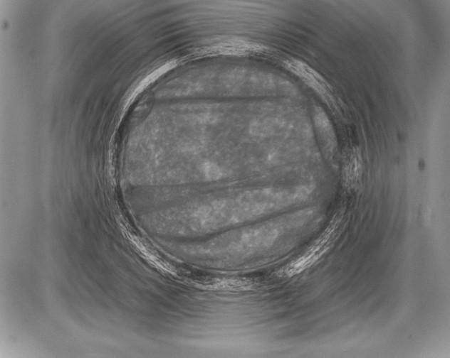 X0000085731026200704131614