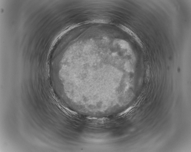 X0000085731027200704131614