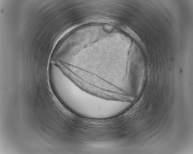 X0000085731028200704131614