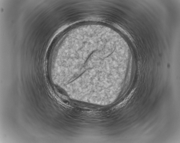 X0000085731029200704131614