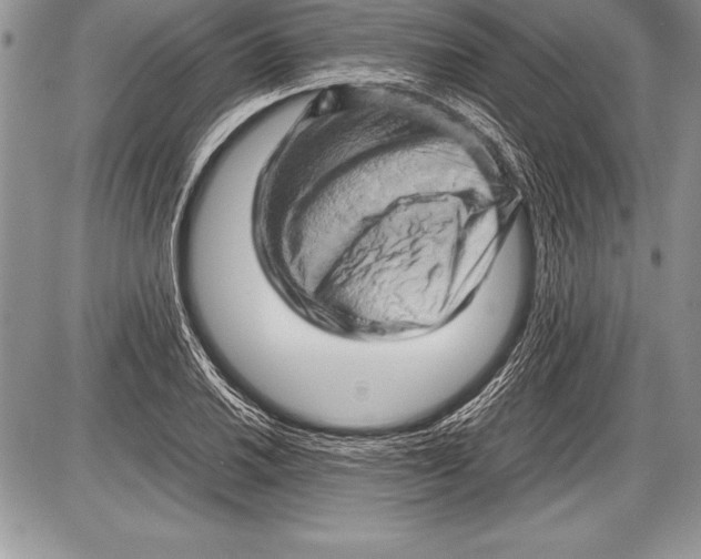 X0000085731030200704131614