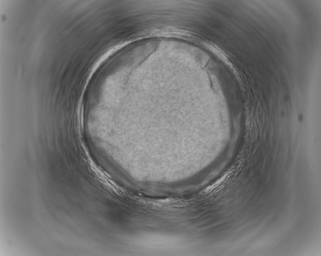 X0000085731032200704131614