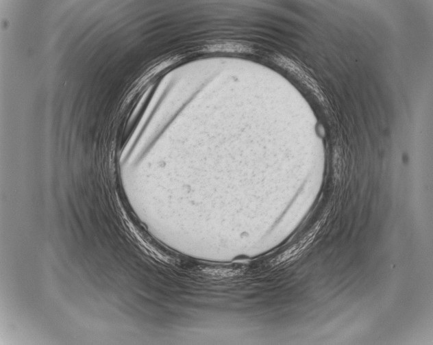 X0000085731033200704131614