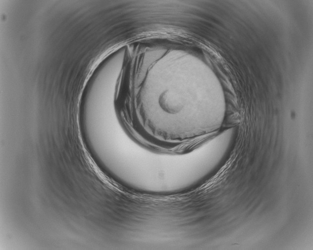 X0000085731034200704131614