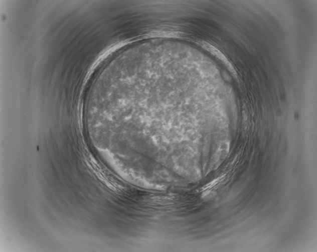 X0000085731035200704131614