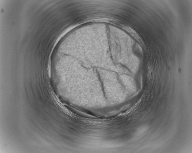 X0000085731036200704131614