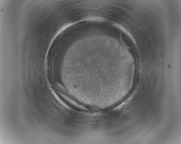 X0000085731037200704131614