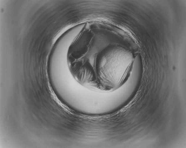 X0000085731038200704131614